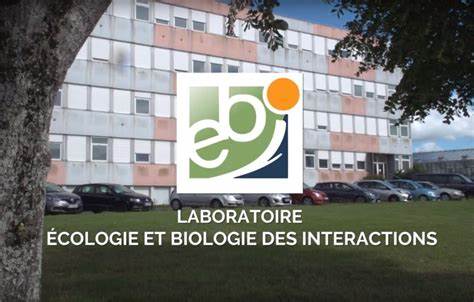 APPEL à CANDIDATURE. Résidence d’artiste BD pour septembre 2022 à février 2023. DATE LIMITE CANDIDATURE 7 MAI