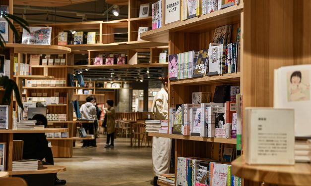 Journées nationales A+U+C « BD et enseignement supérieur » 6 et 7 juin 2023 à la MDE Poitiers